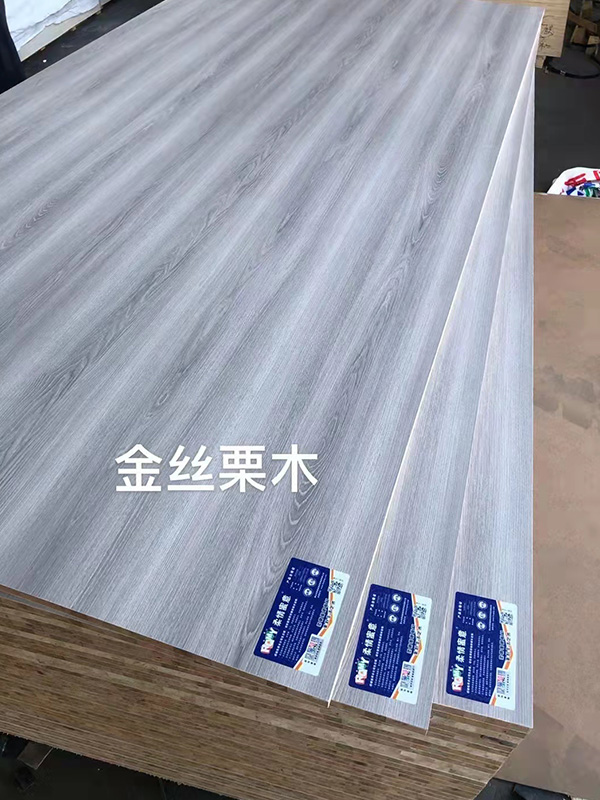 金丝栗木